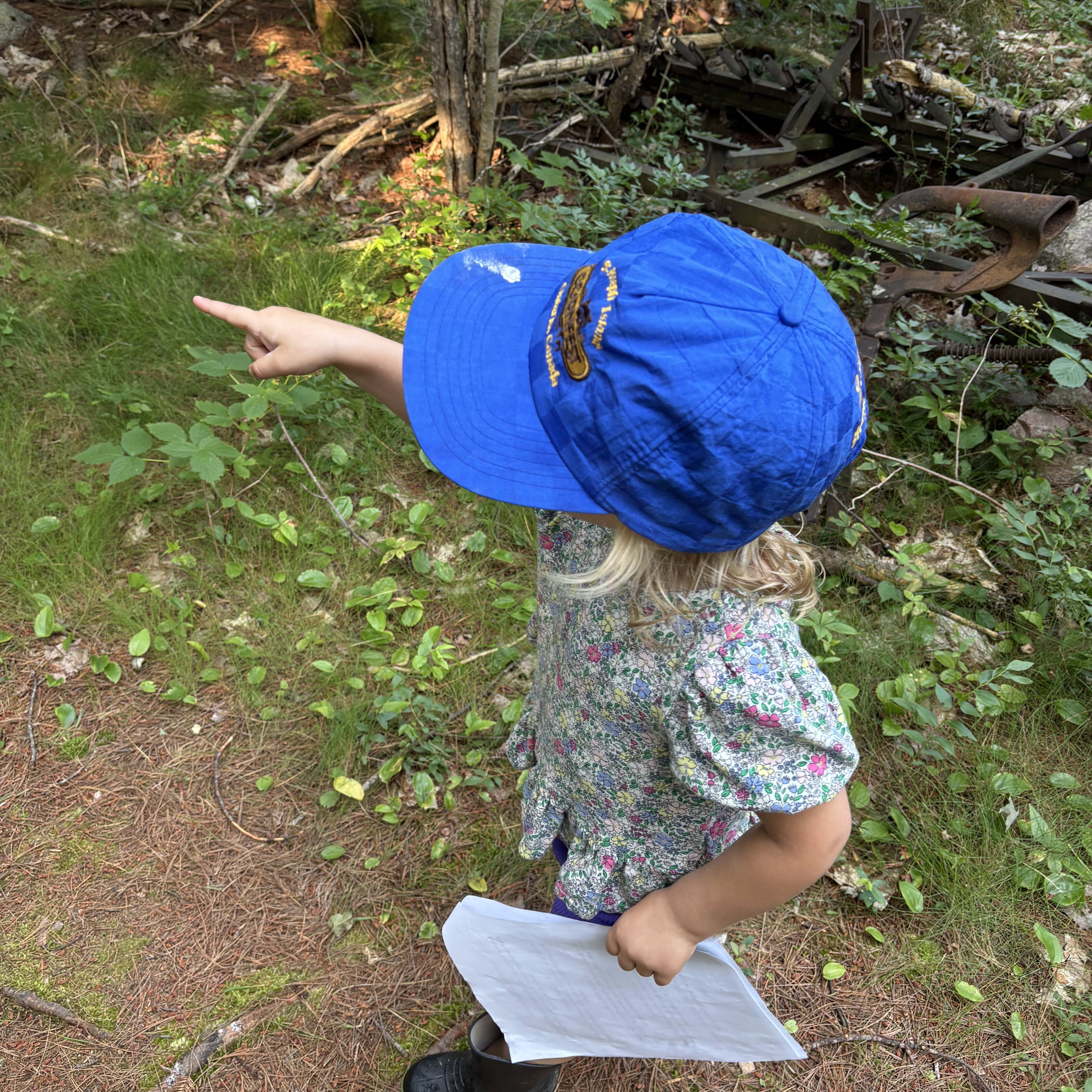 Junior Explorers: Navigate & Discover - logo